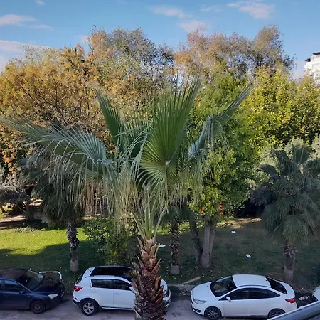 Close To The Sea In The Of Antalya