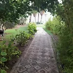 Close To The Sea In The Of *
