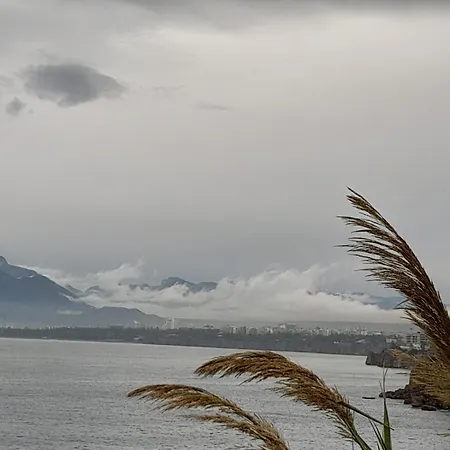Close To The Sea In The Of