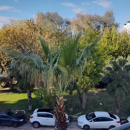 Close To The Sea In The Of Antalya