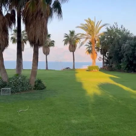 Close To The Sea In The Of