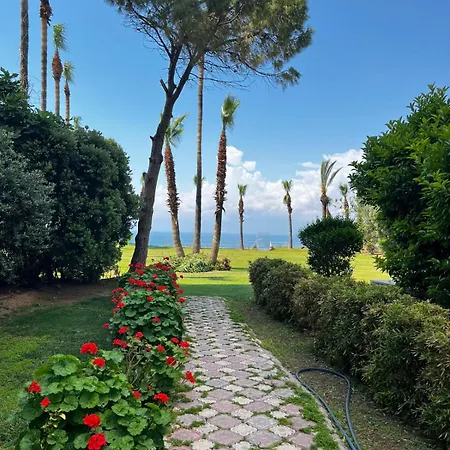 Close To The Sea In The Of *