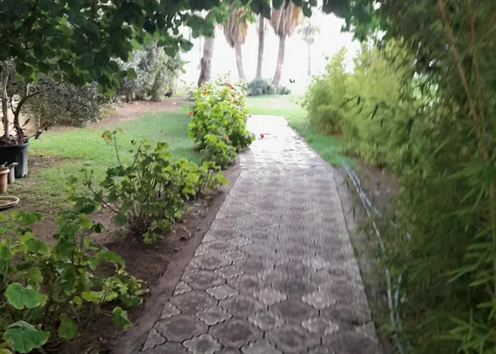 Close To The Sea In The Of *
