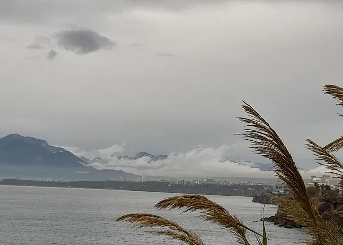 Close To The Sea In The Of