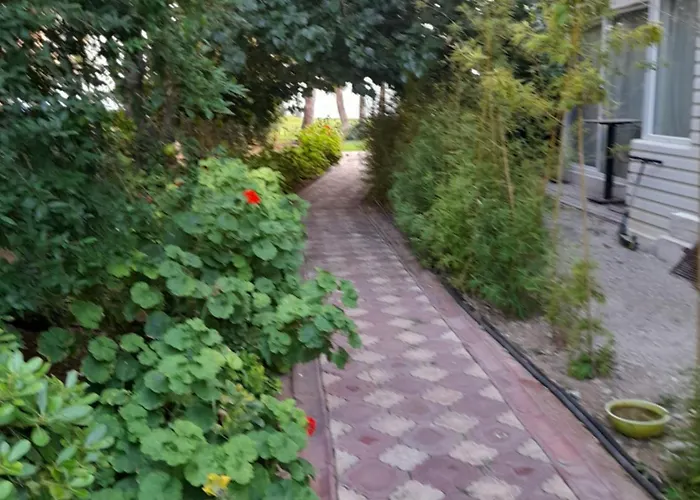 Close To The Sea In The Of * Antalya